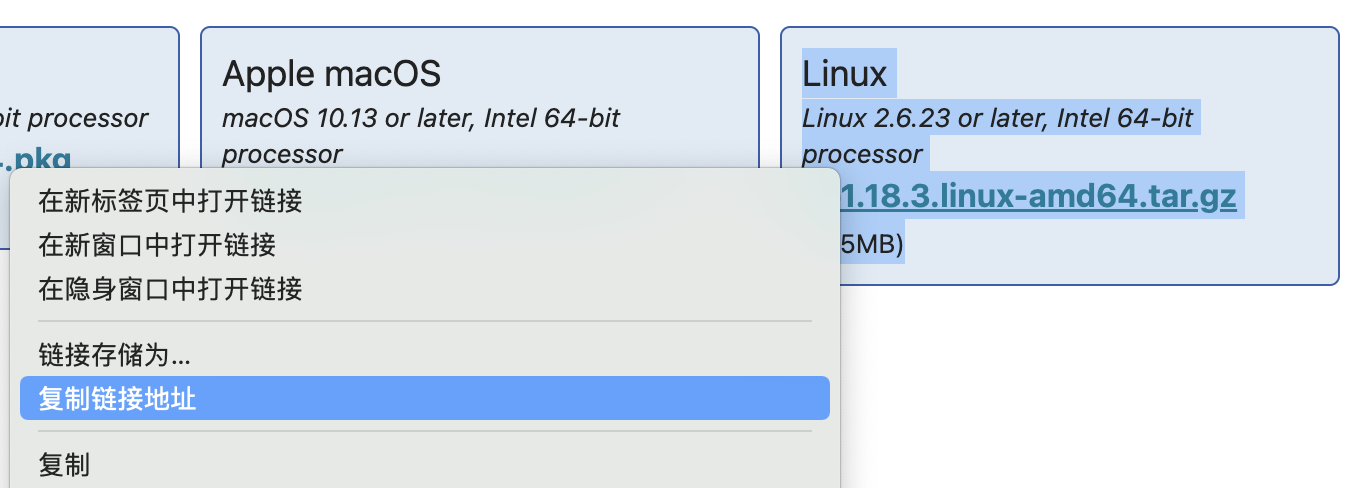 复制Linux的Golang链接地址